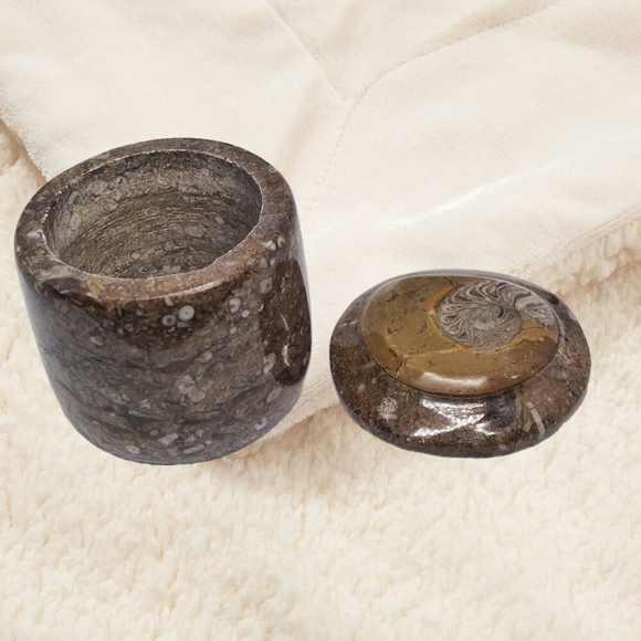 Ammonite Fossil on the Trinket Box's Lid. - Picture 5 of 9